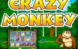 Crazy Monkey