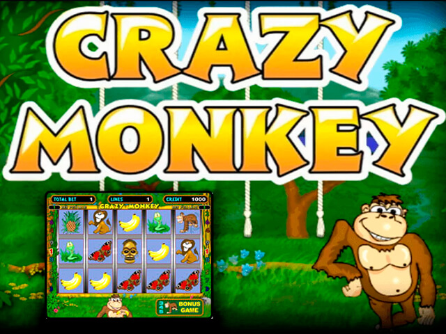 Crazy Monkey
